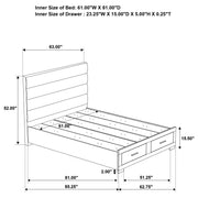 Felicity Beds - Theo's Factory Direct Mattress & Furniture (Columbus, OH)