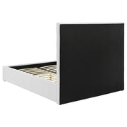 Felicity Beds - Theo's Factory Direct Mattress & Furniture (Columbus, OH)