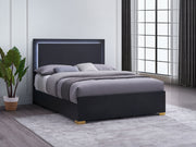Marceline Beds White & Black Eastren King, Full, Twin, & Queen - Theo's Factory Direct Mattress & Furniture (Columbus, OH)