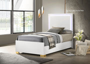 Marceline Beds - Theo's Factory Direct Mattress & Furniture (Columbus, OH)