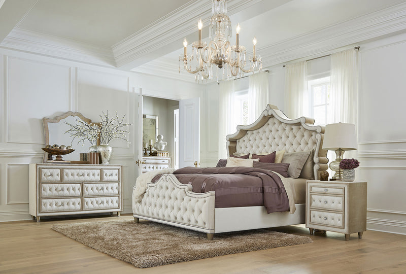 Antonella Queen Beds - Theo's Factory Direct Mattress & Furniture (Columbus, OH)