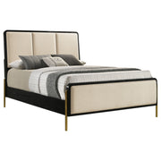 Arini Beds - Theo's Factory Direct Mattress & Furniture (Columbus, OH)