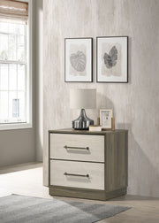 Fenwick Nightstand - Theo's Factory Direct Mattress & Furniture (Columbus, OH)
