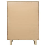 Kailani Chest - Theo's Factory Direct Mattress & Furniture (Columbus, OH)