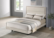 Trenton Beds - Theo's Factory Direct Mattress & Furniture (Columbus, OH)