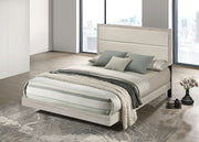 Trenton Beds - Theo's Factory Direct Mattress & Furniture (Columbus, OH)
