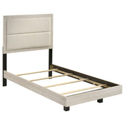 Trenton Beds - Theo's Factory Direct Mattress & Furniture (Columbus, OH)