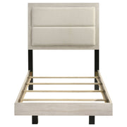 Trenton Beds - Theo's Factory Direct Mattress & Furniture (Columbus, OH)