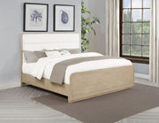 Ladera Beds - Theo's Factory Direct Mattress & Furniture (Columbus, OH)