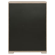 Ladera Chests - Theo's Factory Direct Mattress & Furniture (Columbus, OH)