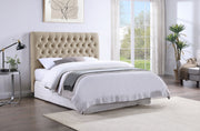 Chloe Full Headboard - Theo's Factory Direct Mattress & Furniture (Columbus, OH)