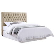 Chloe Full Headboard - Theo's Factory Direct Mattress & Furniture (Columbus, OH)