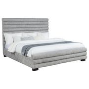 Patricia Beds - Theo's Factory Direct Mattress & Furniture (Columbus, OH)