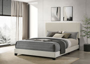 Dorian Beds 2 - Theo's Factory Direct Mattress & Furniture (Columbus, OH)