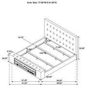 Senna Beds - Theo's Factory Direct Mattress & Furniture (Columbus, OH)