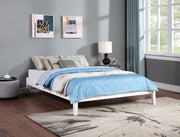 Hounslow Universal Platform Bed - Theo's Factory Direct Mattress & Furniture (Columbus, OH)