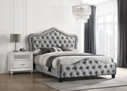 Bella Beds - Theo's Factory Direct Mattress & Furniture (Columbus, OH)