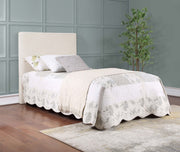 Pirro Twin Headboard - Theo's Factory Direct Mattress & Furniture (Columbus, OH)