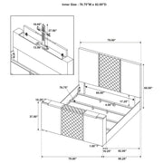 Tara Panel TV Bed - Theo's Factory Direct Mattress & Furniture (Columbus, OH)