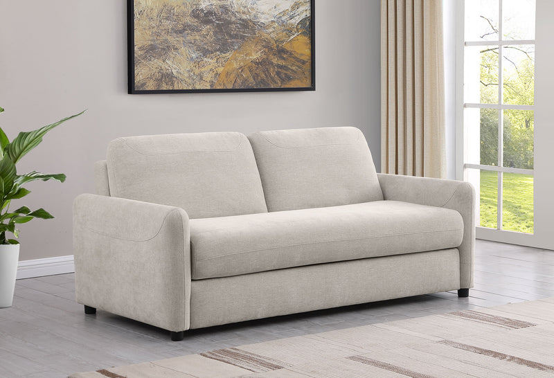 Rylie Sleeper Sofa - Theo's Factory Direct Mattress & Furniture (Columbus, OH)
