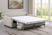 Rylie Sleeper Sofa - Theo's Factory Direct Mattress & Furniture (Columbus, OH)