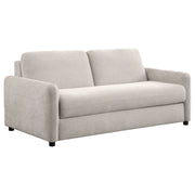 Rylie Sleeper Sofa - Theo's Factory Direct Mattress & Furniture (Columbus, OH)