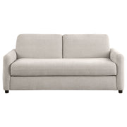 Rylie Sleeper Sofa - Theo's Factory Direct Mattress & Furniture (Columbus, OH)
