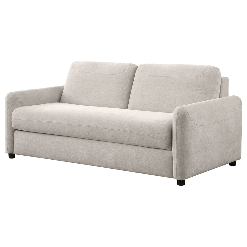 Rylie Sleeper Sofa - Theo's Factory Direct Mattress & Furniture (Columbus, OH)