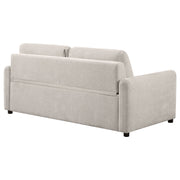 Rylie Sleeper Sofa - Theo's Factory Direct Mattress & Furniture (Columbus, OH)