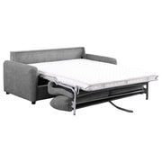 Rylie Sleeper Sofa - Theo's Factory Direct Mattress & Furniture (Columbus, OH)