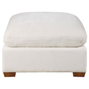 Lakeview Ottoman - Theo's Factory Direct Mattress & Furniture (Columbus, OH)