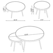 Kaelyn Nesting Coffee Table - Theo's Factory Direct Mattress & Furniture (Columbus, OH)