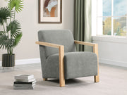 Diego Accent Chair - Theo's Factory Direct Mattress & Furniture (Columbus, OH)