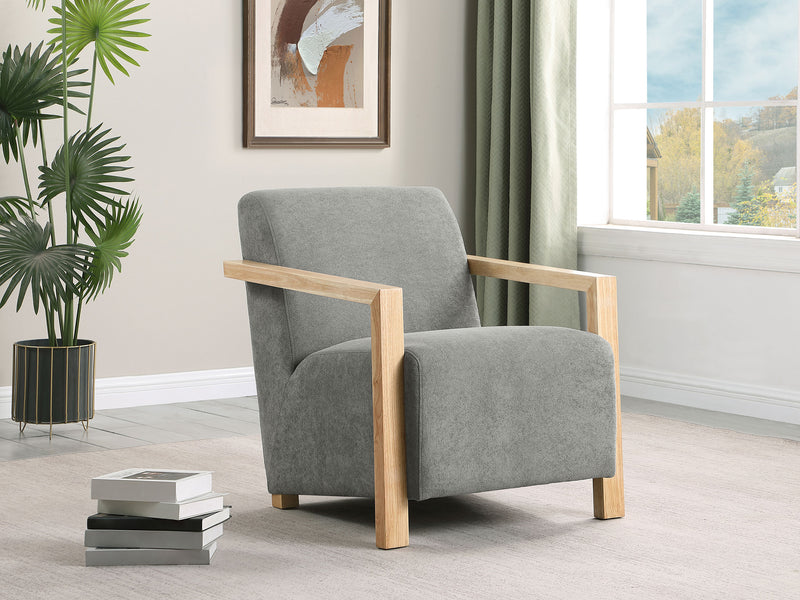 Diego Accent Chair - Theo's Factory Direct Mattress & Furniture (Columbus, OH)