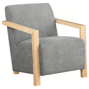 Diego Accent Chair - Theo's Factory Direct Mattress & Furniture (Columbus, OH)