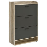 Denia Shoe Cabinet - Theo's Factory Direct Mattress & Furniture (Columbus, OH)