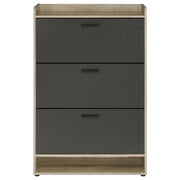 Denia Shoe Cabinet - Theo's Factory Direct Mattress & Furniture (Columbus, OH)