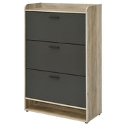 Denia Shoe Cabinet - Theo's Factory Direct Mattress & Furniture (Columbus, OH)