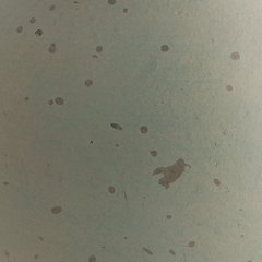 Baychester Vase - Theo's Factory Direct Mattress & Furniture (Columbus, OH)