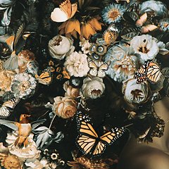 Valfer Wall Art - Theo's Factory Direct Mattress & Furniture (Columbus, OH)