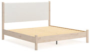 Cadmori Upholstered Bed - Theo's Factory Direct Mattress & Furniture (Columbus, OH)
