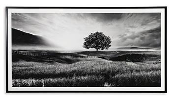 Deborland Wall Art - Theo's Factory Direct Mattress & Furniture (Columbus, OH)