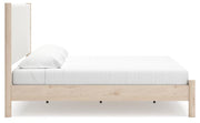 Cadmori Upholstered Bed - Theo's Factory Direct Mattress & Furniture (Columbus, OH)