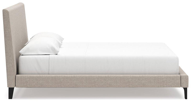 Cielden Upholstered Bed with Roll Slats - Theo's Factory Direct Mattress & Furniture (Columbus, OH)