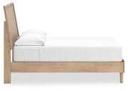 Cielden Bed - Theo's Factory Direct Mattress & Furniture (Columbus, OH)