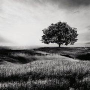 Deborland Wall Art - Theo's Factory Direct Mattress & Furniture (Columbus, OH)