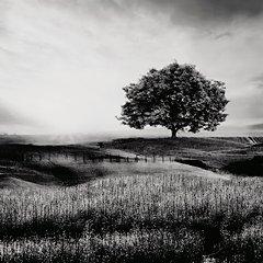 Deborland Wall Art - Theo's Factory Direct Mattress & Furniture (Columbus, OH)