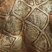 Ferrison Table Lamp - Theo's Factory Direct Mattress & Furniture (Columbus, OH)