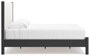 Cadmori Upholstered Bed - Theo's Factory Direct Mattress & Furniture (Columbus, OH)