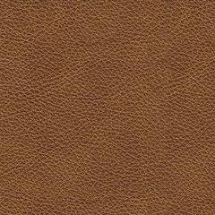 Carianna Loveseat - Theo's Factory Direct Mattress & Furniture (Columbus, OH)